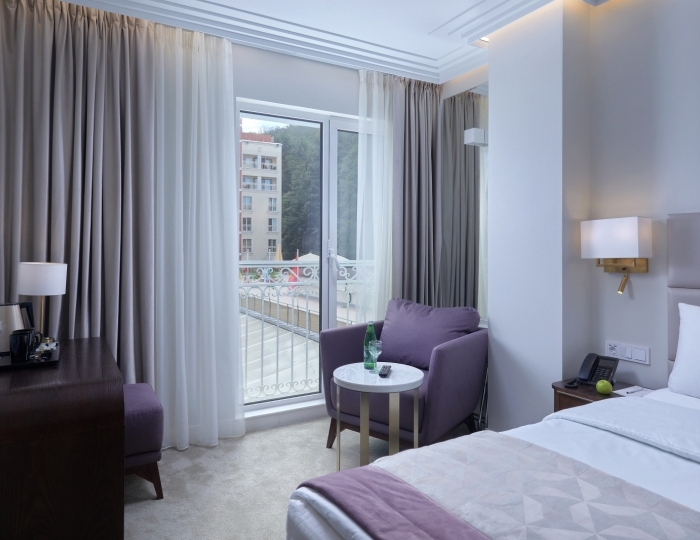 Стандарт - Санаторий «Плаза» Кисловодск